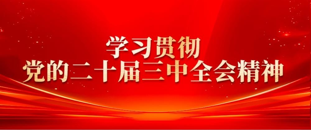 学习贯彻党的二十届三中全会精神② 伟德国际victor1946园区集团董事长刘孝萌：抓好“建、招、储、运”,建设高质量产业园区